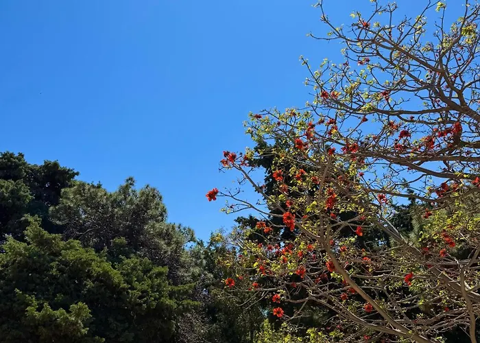 Casa Assisi 아파트 *