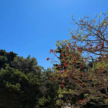 Casa Assisi Apartament *